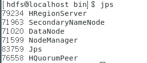 image-20240126204542442