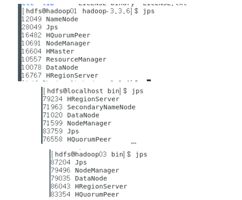 image-20240126211709277
